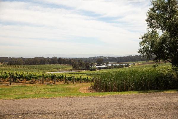 Audrey Wilkinson Vineyard ξενώνας Pokolbin Εξωτερικό φωτογραφία